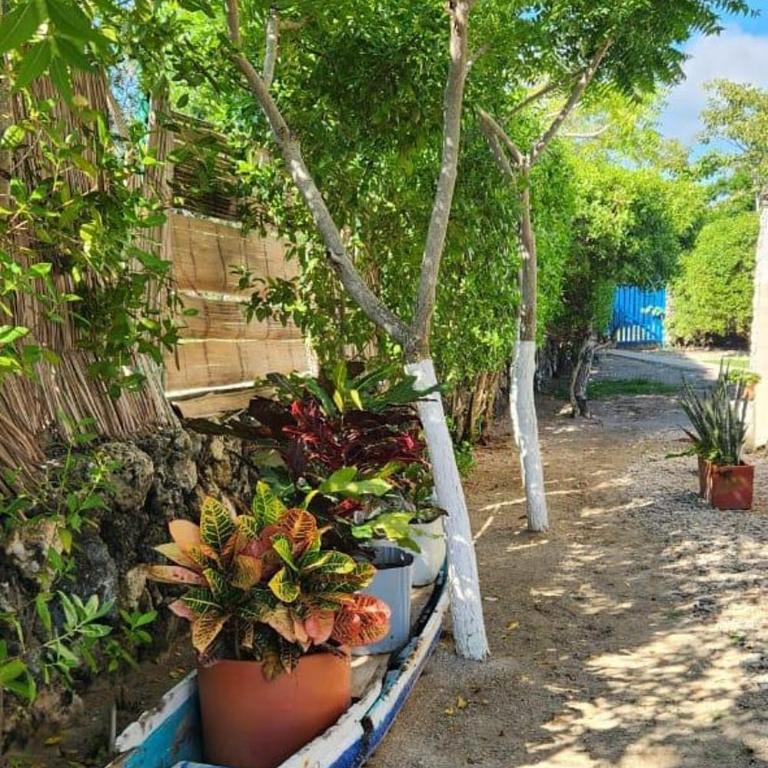 Suemar Cabaña de Playa en Isla de Tierra Bomba - Two-Bedroom House - 59