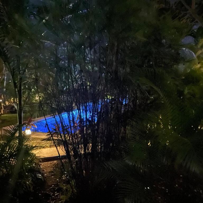 Natural paradise in playa del carmen - One-Bedroom Apartment with Terrace - 36