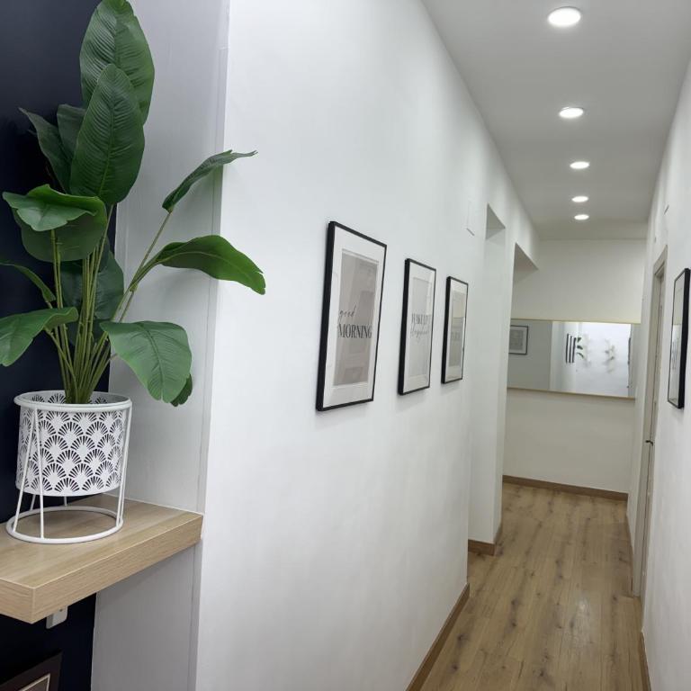 GRAZARIEs 1 -Piso Céntrico Granada- - Five-Bedroom Deluxe Apartment - 2