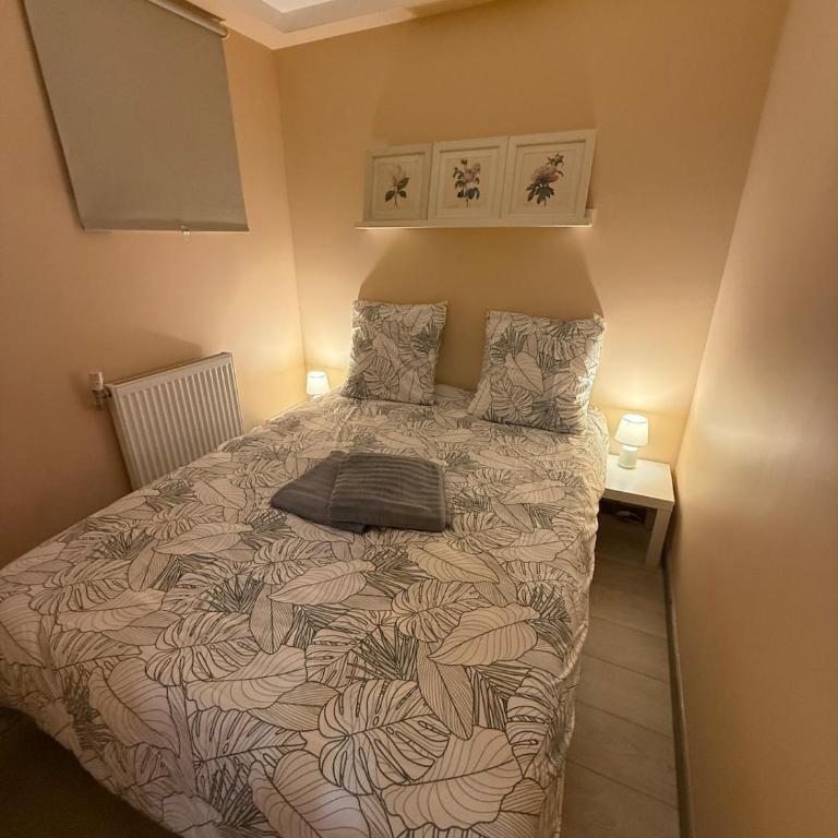 Metz F2 individuel plain-pied 3 couchages - Apartment mit 1 Schlafzimmer - 4