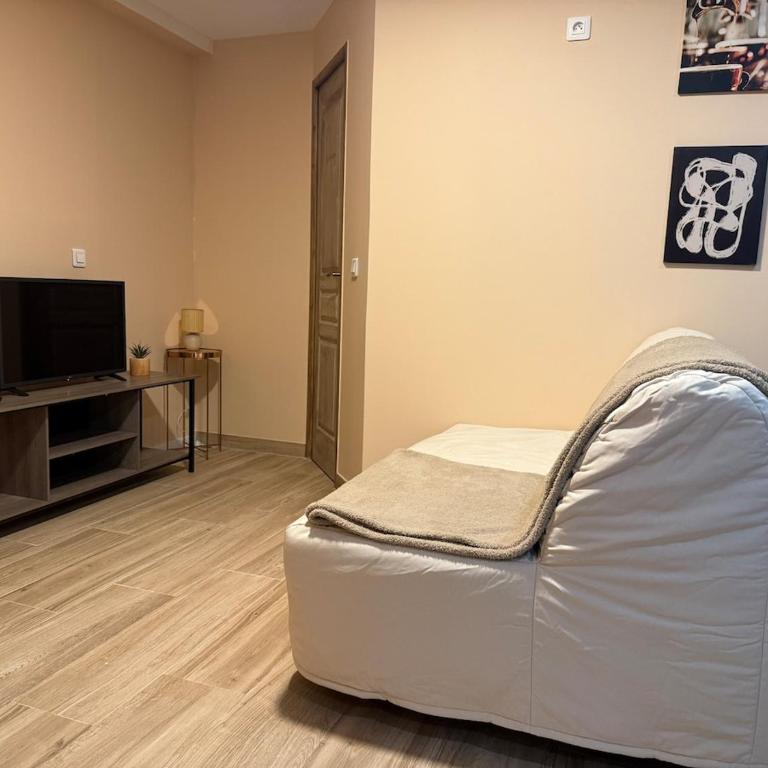 Metz F2 individuel plain-pied 3 couchages - Apartment mit 1 Schlafzimmer - 15
