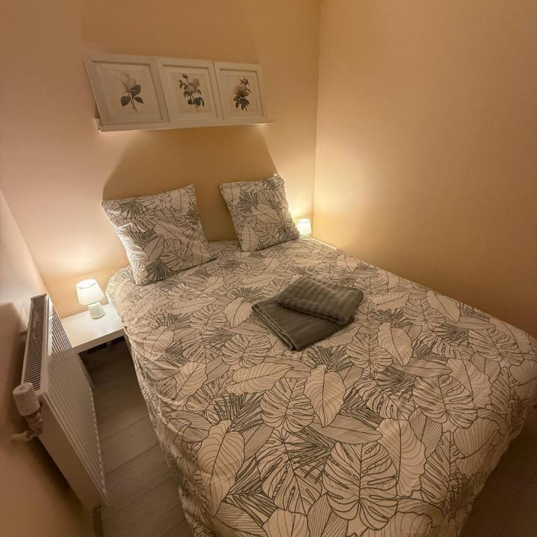 Metz F2 individuel plain-pied 3 couchages - Apartment mit 1 Schlafzimmer - 18