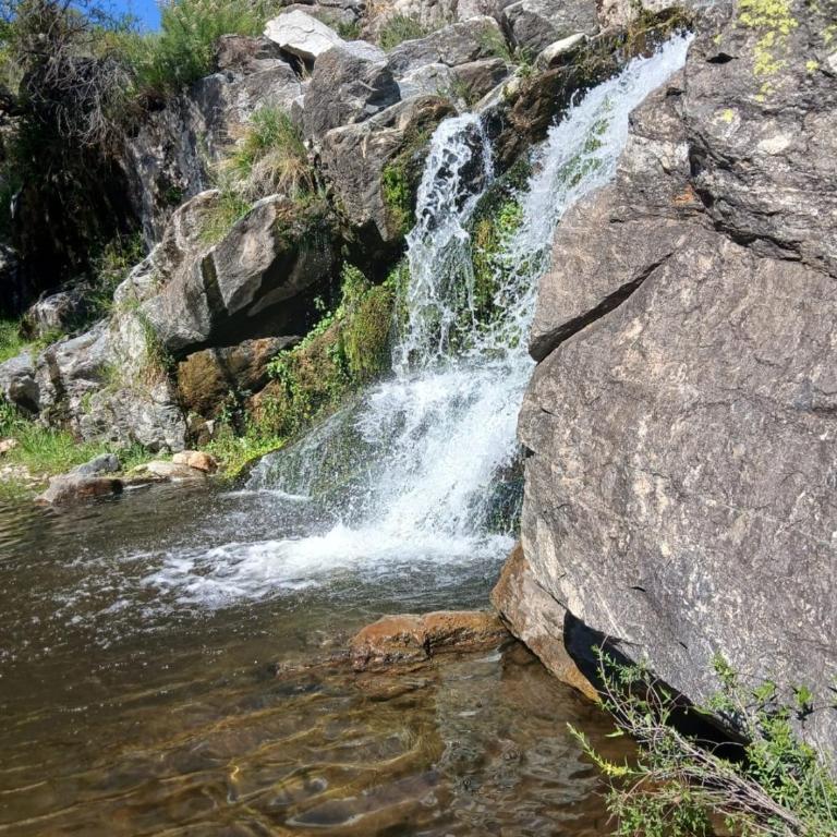 las huertitas de milele - Two-Bedroom Chalet - 2