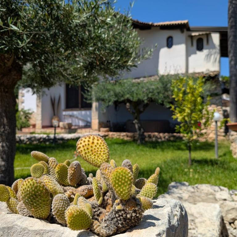 Azure Bay Chic Villa - Villa con 3 Camere da Letto - 2