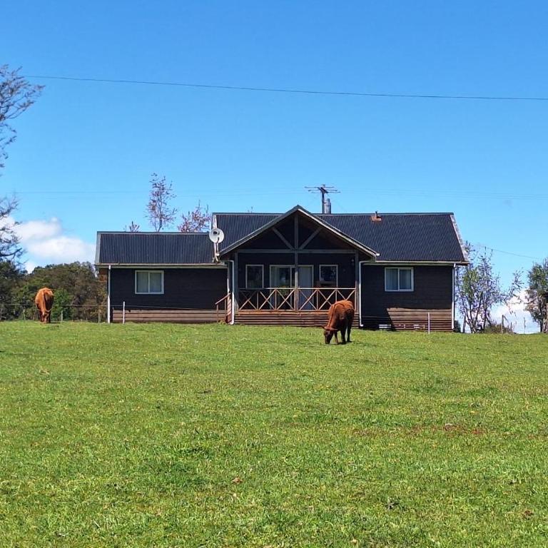 Puyehue - Three-Bedroom House - 8