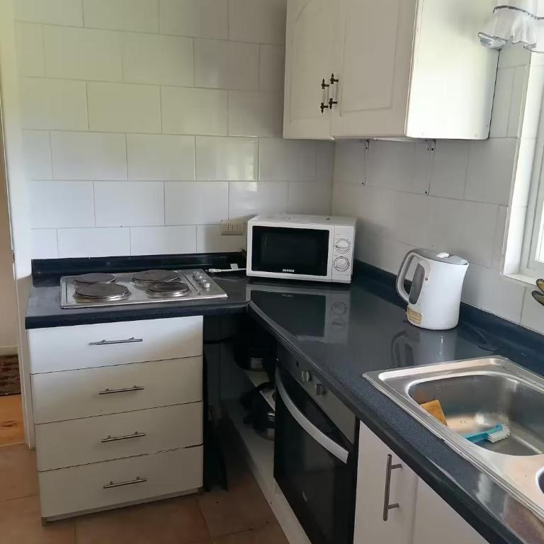 Puyehue - Three-Bedroom House - 10