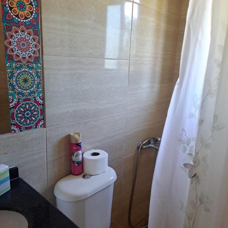 Puyehue - Three-Bedroom House - 17