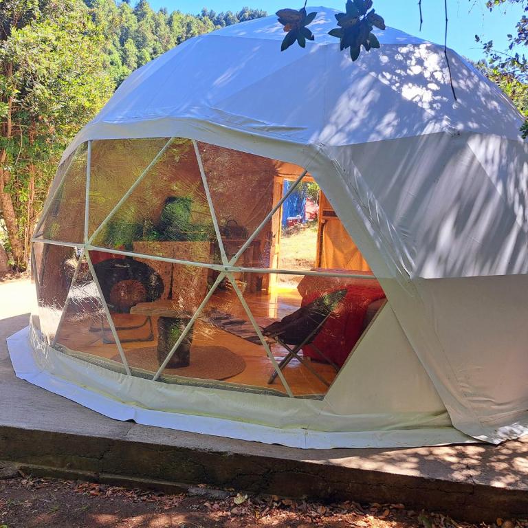 Domo Glamping en el bosque - Tent - 3