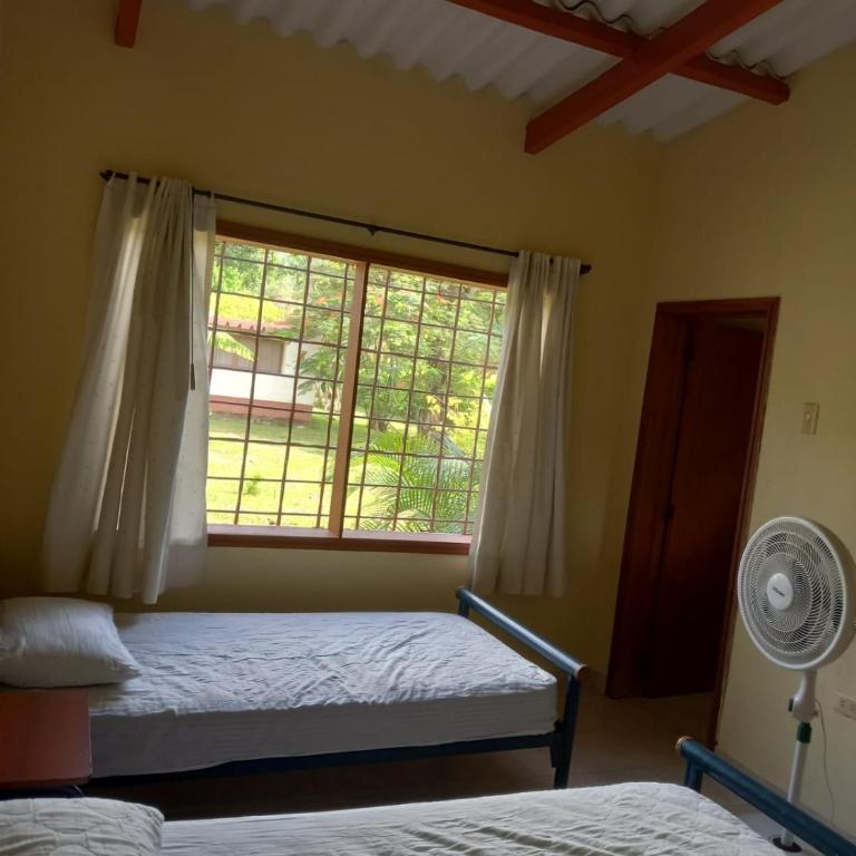 Finca Santa Cecilia - Four-Bedroom House - 13