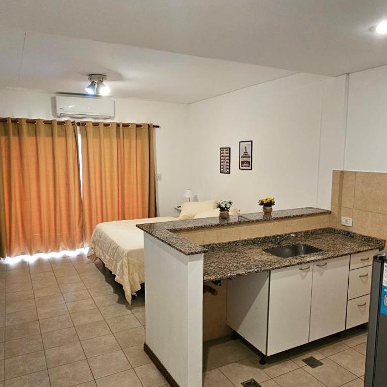 Departamento céntrico, con cochera, wifi, vista increíble - One-Bedroom Apartment - 5