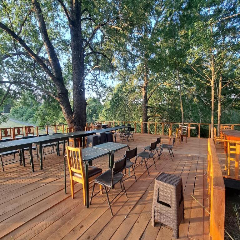 Cabaña entre Hualles - Vacation Home - 11