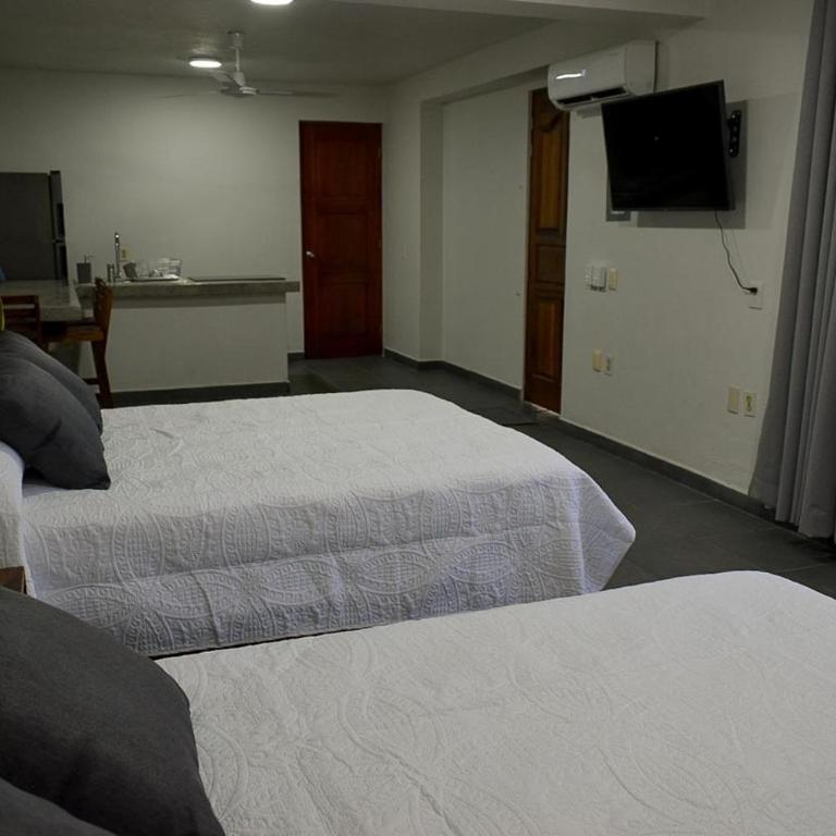 Zafiro Gris - Apartamento de 1 dormitorio - 4