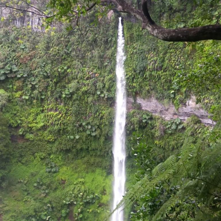 Villarrica Céntrico - Apartamento de 3 dormitorios - 8