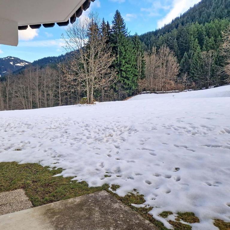 Appartement familial proche télécabine, parking, terrasse sud - FR-1-693-125 - Appartement - 11