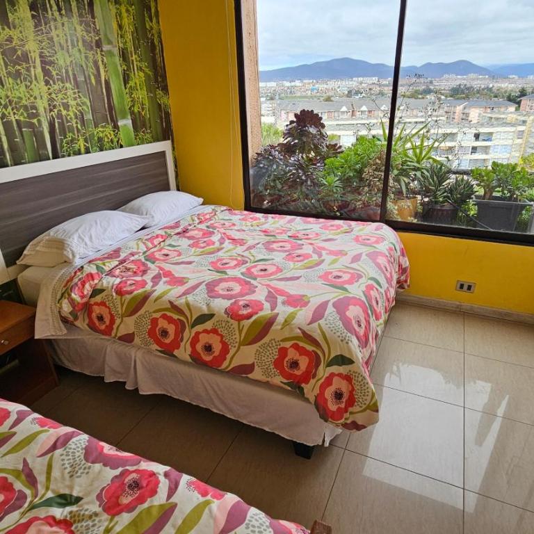 Gran Depto 12 Pers, Frente al Mar, 4 Esquinas, king,Queen,8 singles - Four-Bedroom Deluxe Apartment - 7