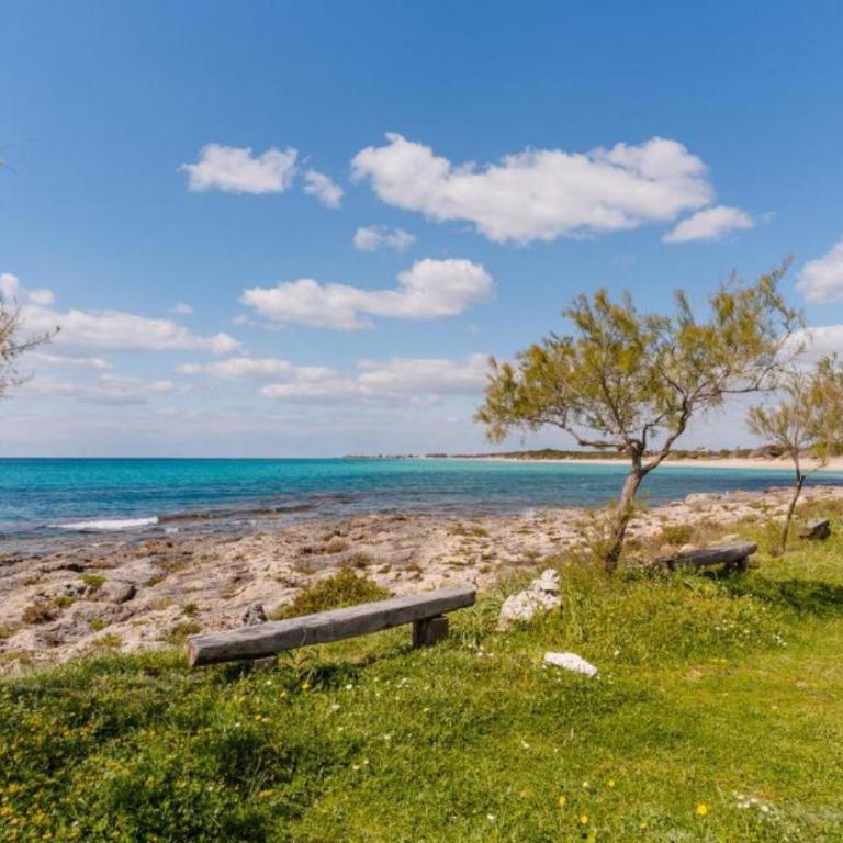 Villa Marina Salento - Casa con 2 Camere da Letto - 45