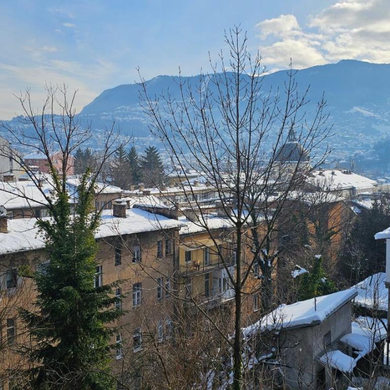 Apartman Sarajevo View & Park - City Center - Apartman sa 1 Spavaćom Sobom - 8
