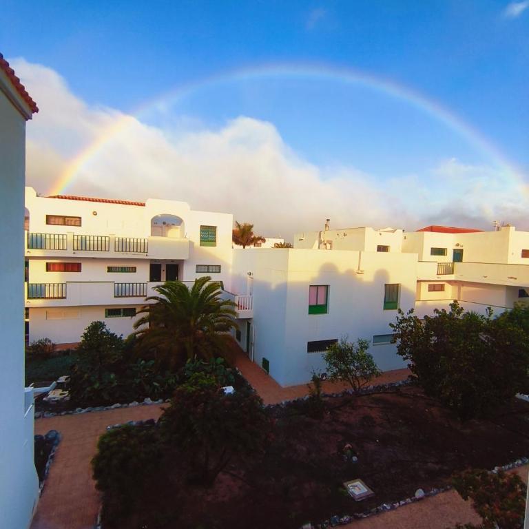 Casa Palmera - Apartamento de 1 dormitorio - 15
