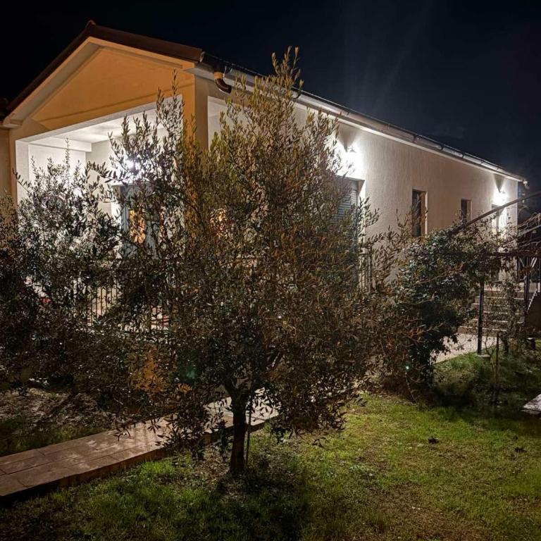 Holiday home Lemoni - Apartman sa 1 Spavaćom Sobom - 5