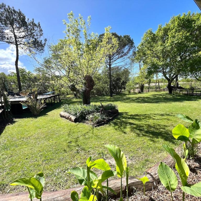 Maison atypique au coeur de notre pinede - Haus mit 5 Schlafzimmern - 10