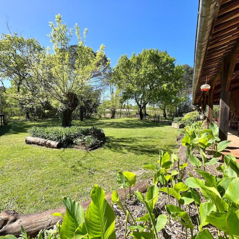 Maison atypique au coeur de notre pinede - Haus mit 5 Schlafzimmern - 16