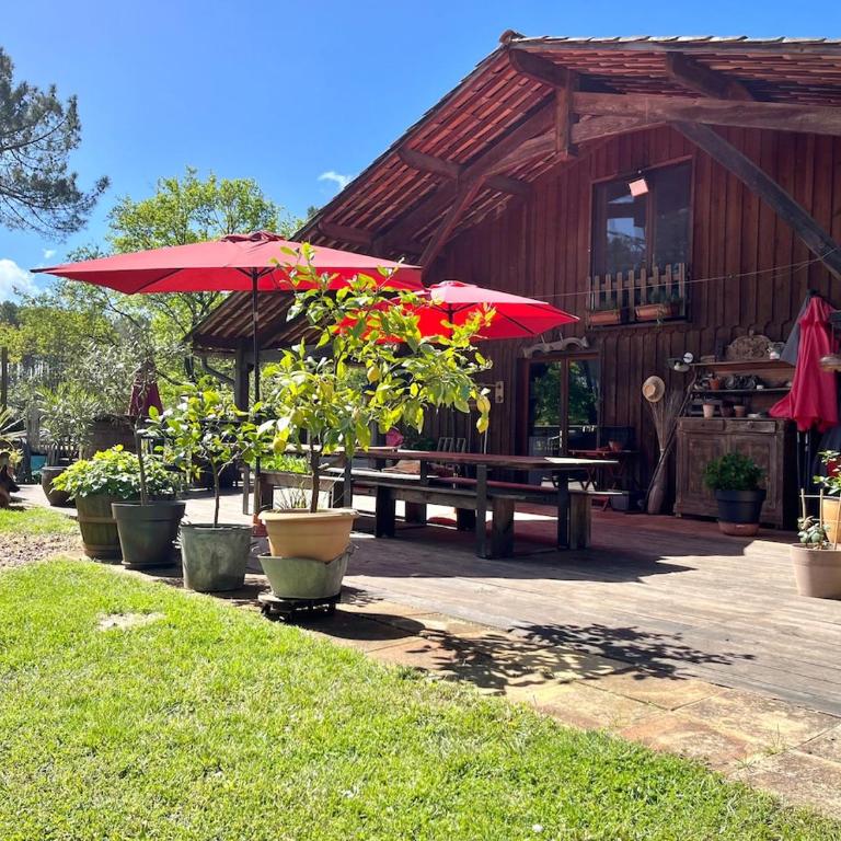 Maison atypique au coeur de notre pinede - Haus mit 5 Schlafzimmern - 30