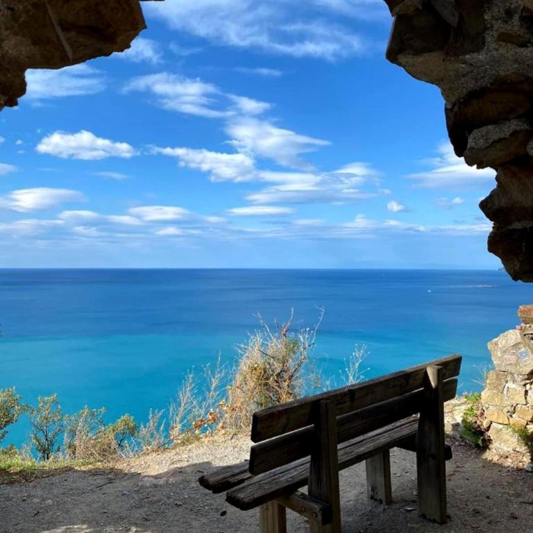 Attico con terrazza fronte mare a Cavi di Lavagna - Appartamento Attico - 34