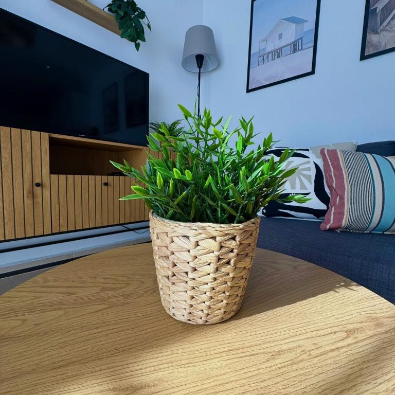 Bubo Sol - One-Bedroom Apartment - 25