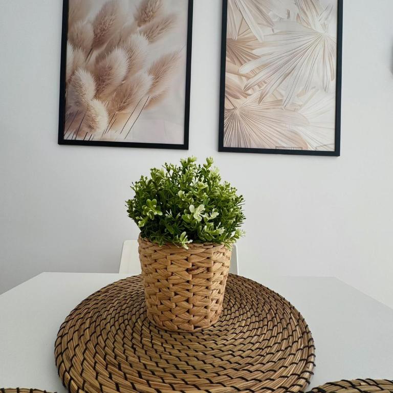 Bubo Sol - One-Bedroom Apartment - 31
