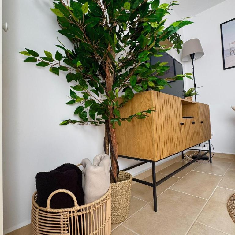 Bubo Sol - One-Bedroom Apartment - 33