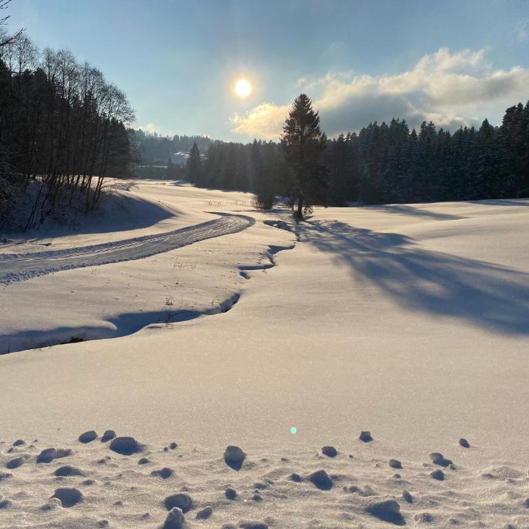 Allgäu- Ferienwohnung mit Hund - Apartment - 35