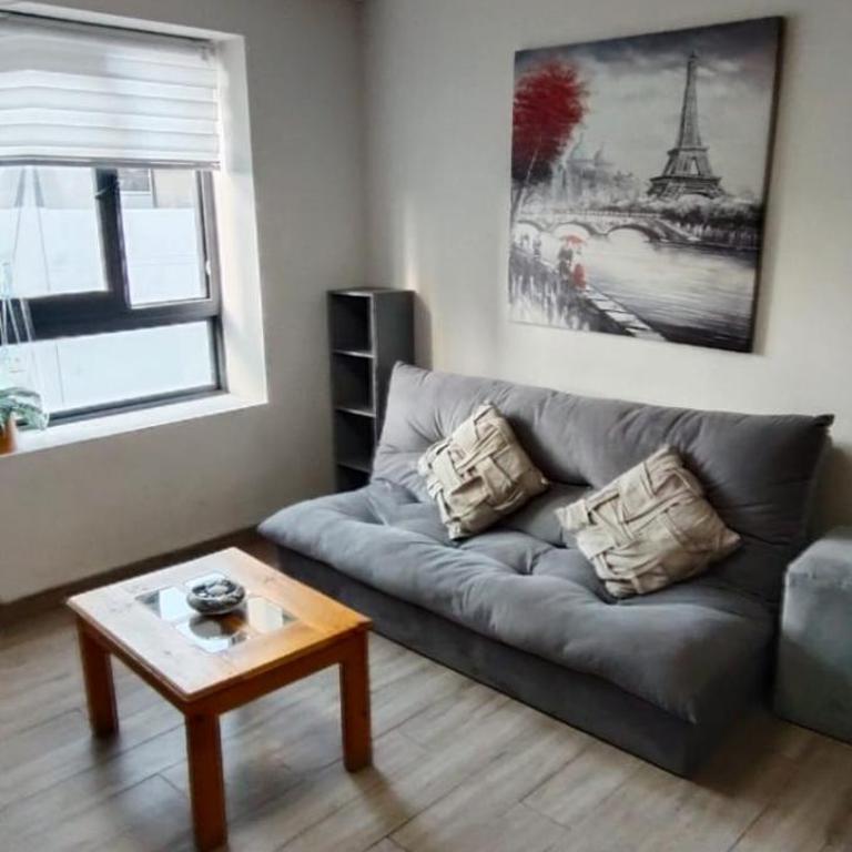 Departamento amoblado centro Antofagasta costado Mall - One-Bedroom Apartment - 10