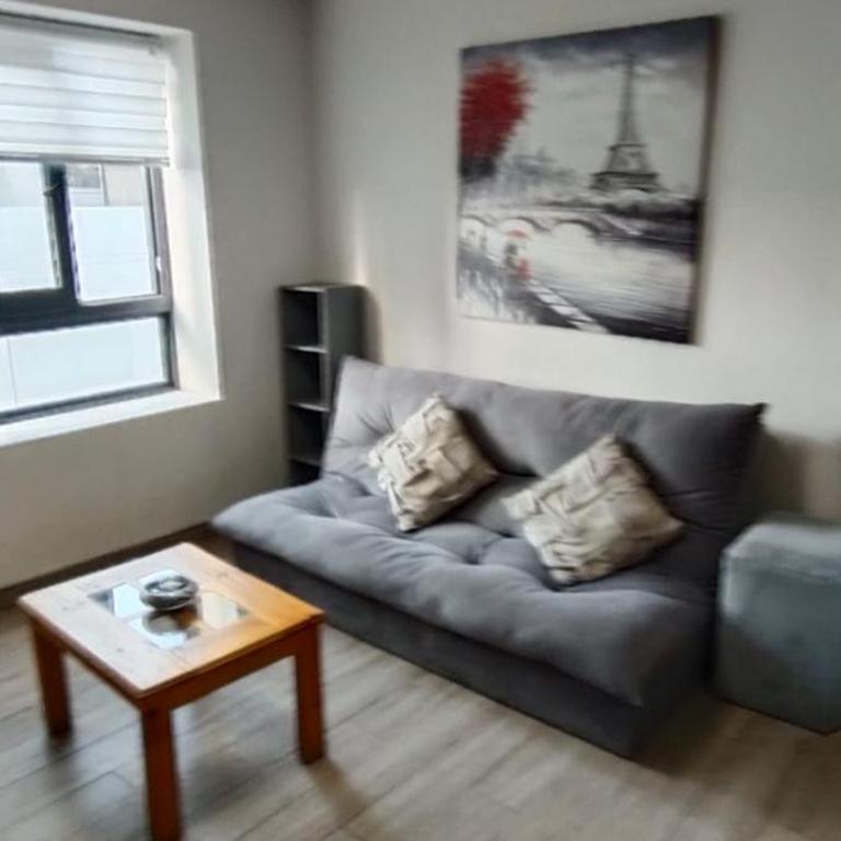 Departamento amoblado centro Antofagasta costado Mall - One-Bedroom Apartment - 25