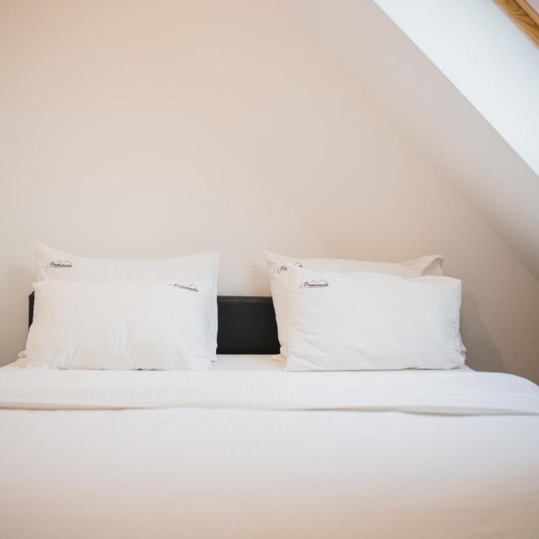 Promenada Apartmani Zlatibor - Dupleks Apartman - 29