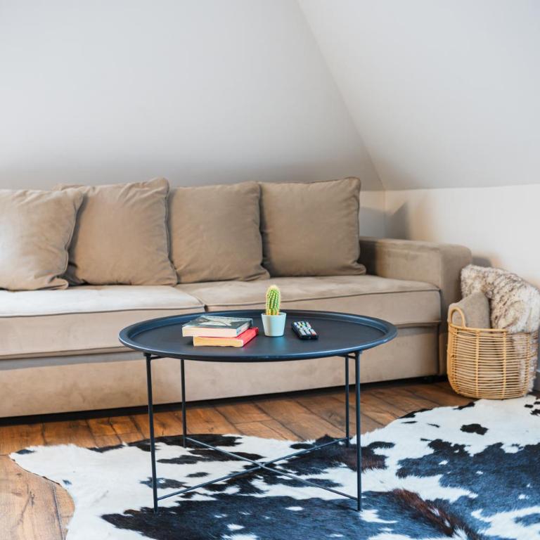 Promenada Apartmani Zlatibor - Dupleks Apartman - 22