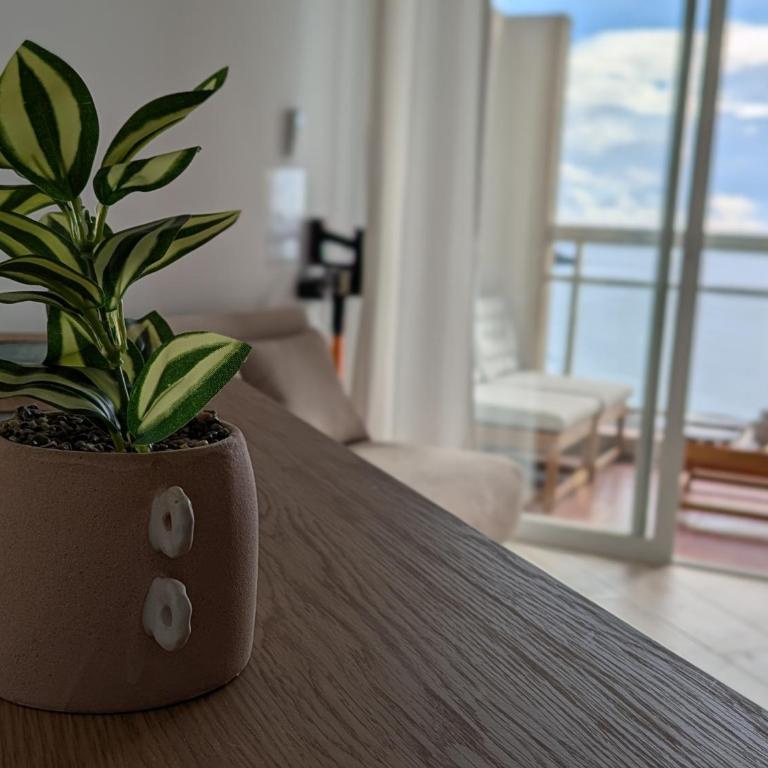 Estudio Deluxe Almuñécar - Apartamento de 1 dormitorio - 7