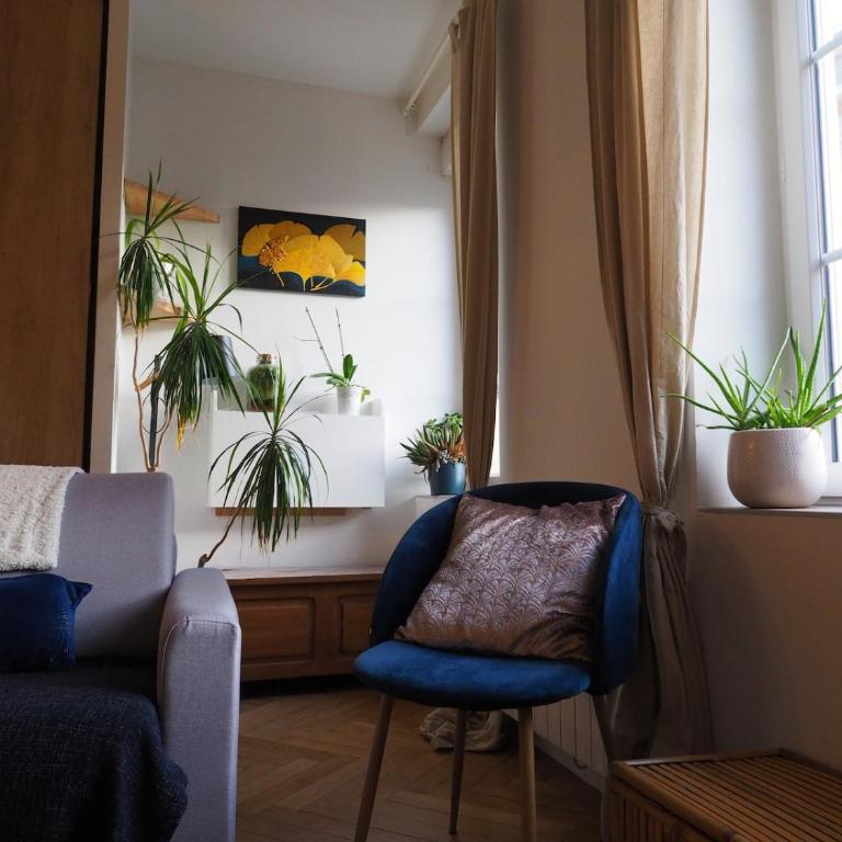 Cozy confortable calm - Apartamento de 1 dormitorio - 2