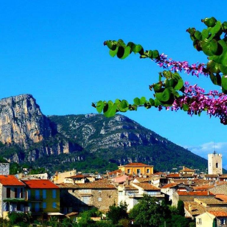 Little studio in the old town - Appartement 1 Chambre - 20