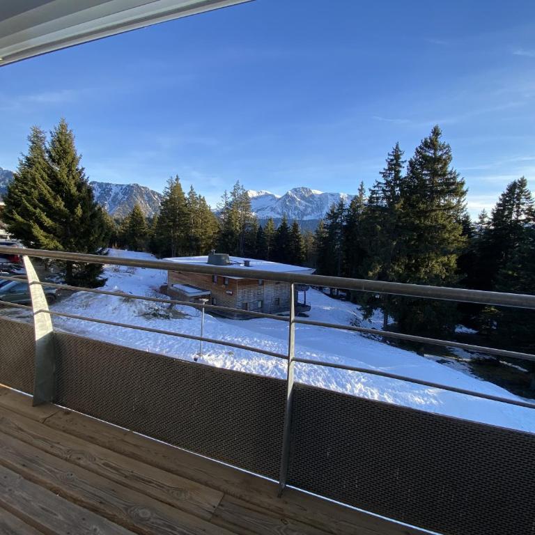 V du Bachat Droseras C N22 2P7 - Appartement - 3