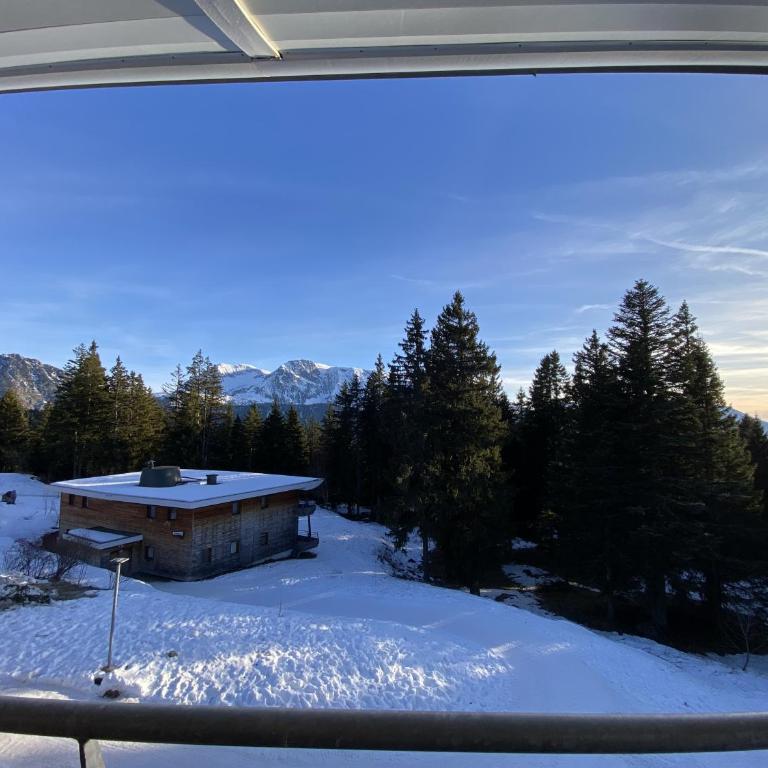 V du Bachat Droseras C N22 2P7 - Appartement - 9