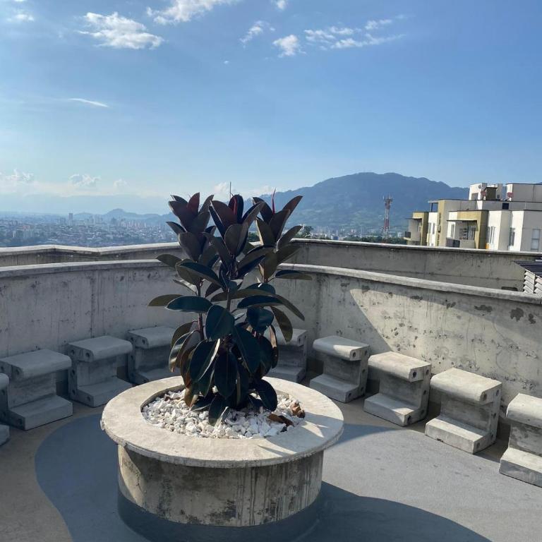 Apartamento nuevo en conjunto, Picina y Jacuzzi comunal - Parqueadero Privado - Apartamento de 3 dormitorios - 25