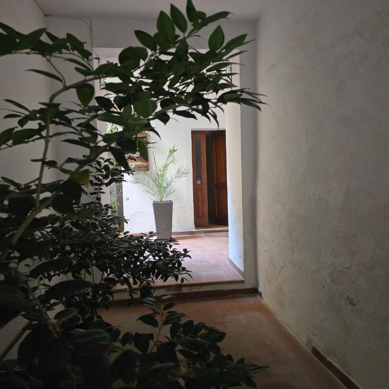 La Dimora Di Pienza - Appartamento con 2 Camere da Letto - 9