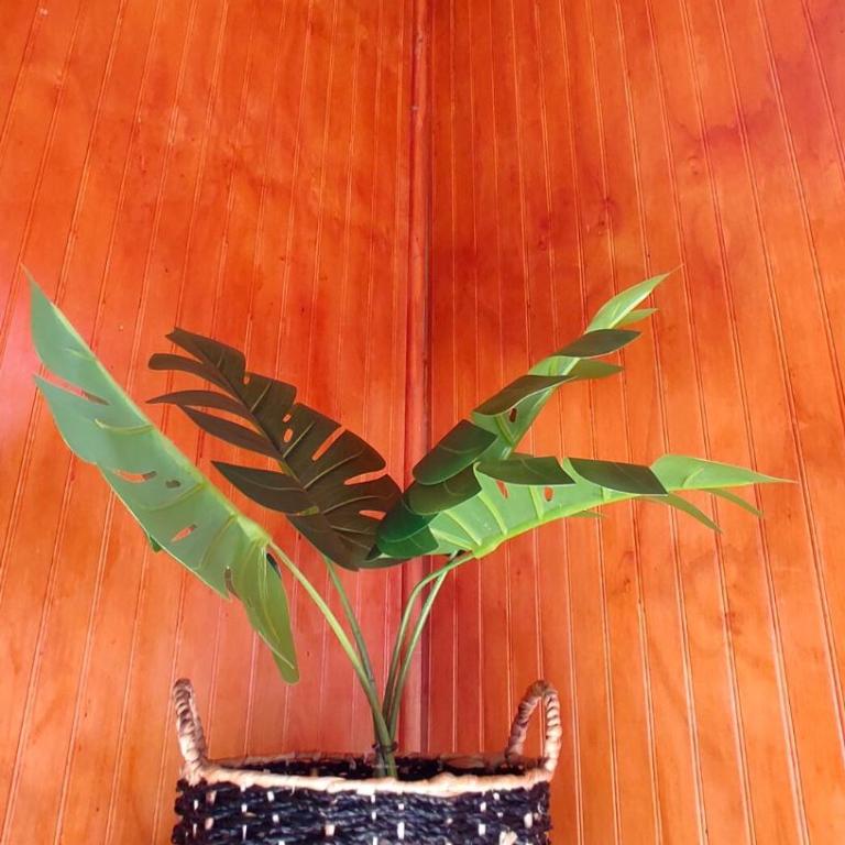 Cabaña Flor de Notro - Three-Bedroom House - 13