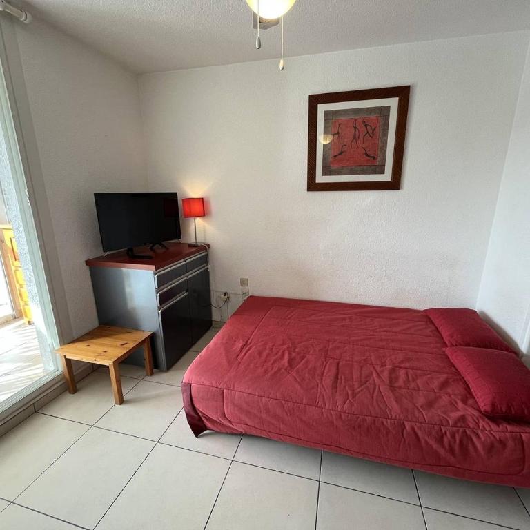 Studio 2 couchages CAP D'AGDE NATURISME CN010-466 - Appartement - 5