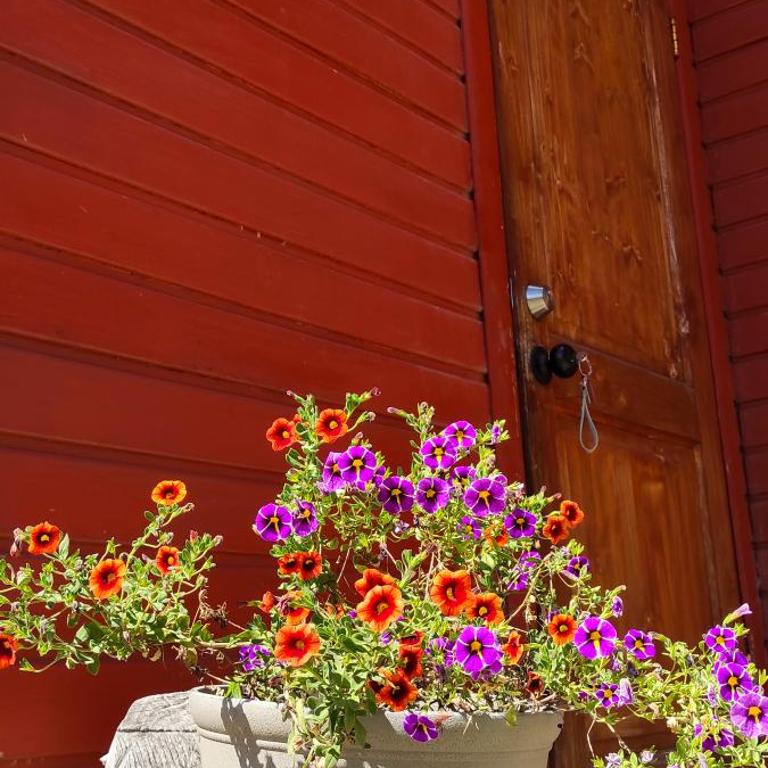Cabaña Flor de Notro - Three-Bedroom House - 15