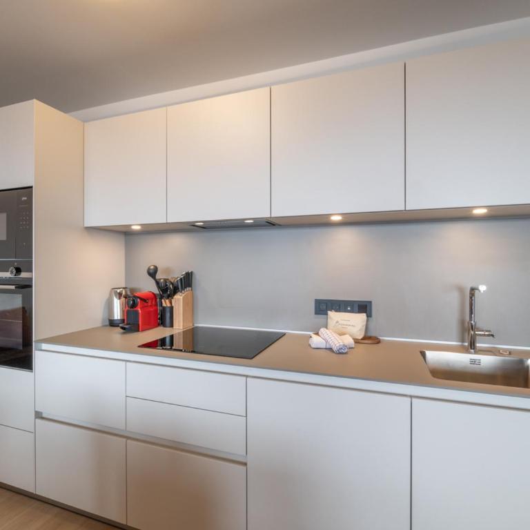 Appartement de haut standing, skis aux pieds, au cœur de l'Alpe d'Huez. Capacité 6 personnes. - FR-1-645-103 - Appartement - 7