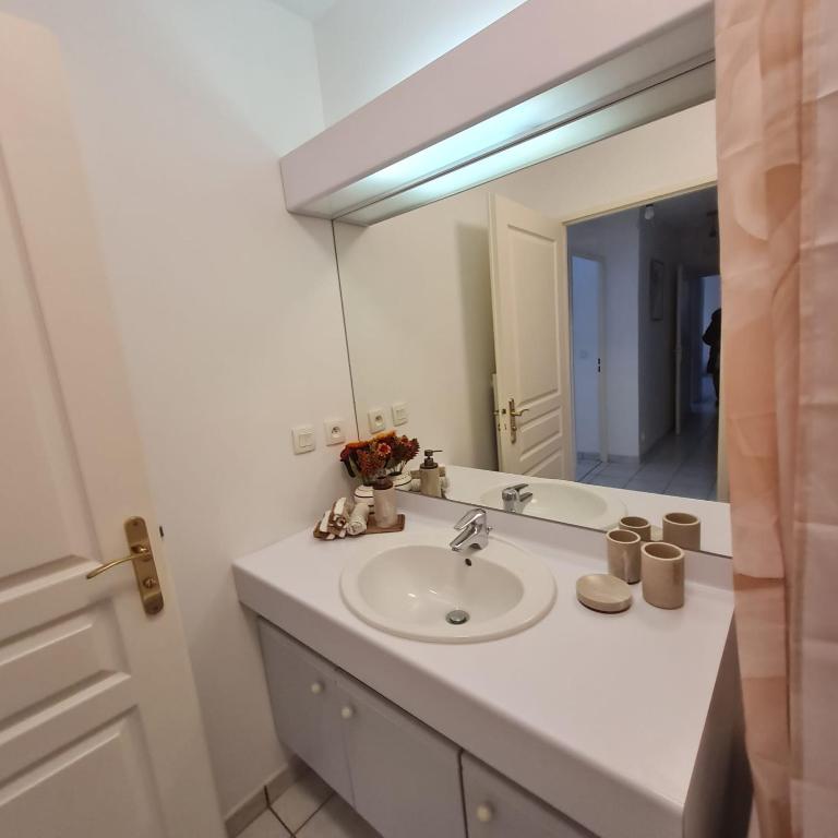 T3 spacieux hyper-centre - Familles & Pros - Genève à 5 min - Appartement 2 Chambres - 13