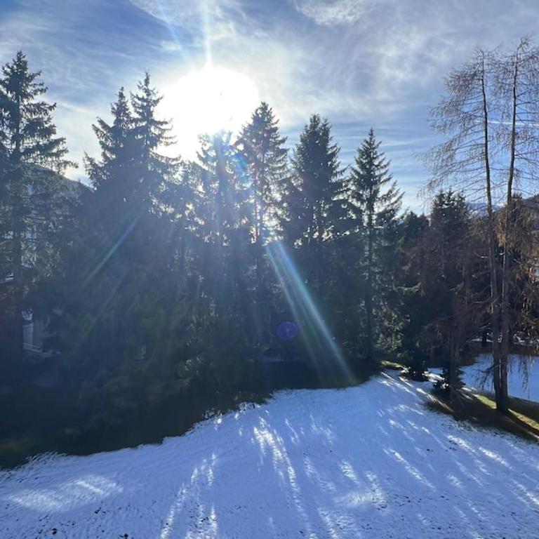 Ferienwohnung Davos Dorf - Apartment mit 1 Schlafzimmer - 2