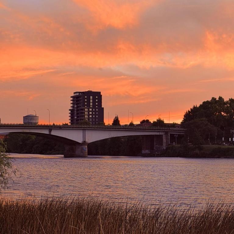 Arriendo casa 3D -3B en Valdivia - One-Bedroom House - 18