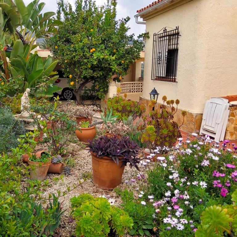 Casa Carolina Oasis with Heated Pool - Villa - 59